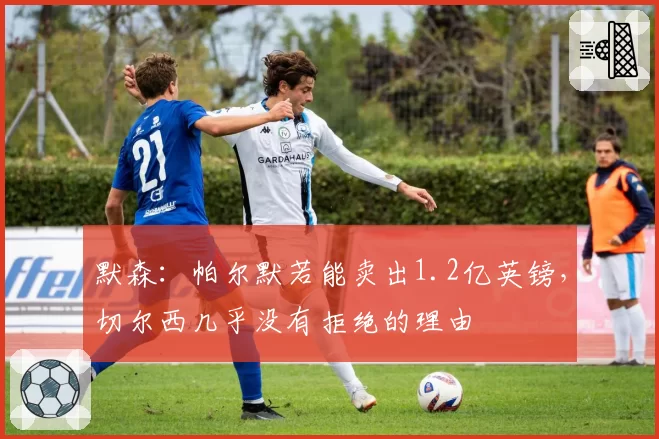 默森:帕尔默若能卖出1.2亿英镑,切尔西几乎没有拒绝的理由