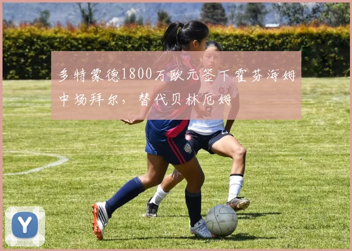 多特蒙德1800万欧元签下霍芬海姆中场拜尔，替代贝林厄姆