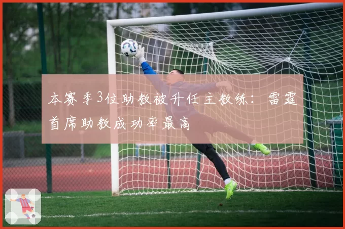 本赛季3位助教被升任主教练：雷霆首席助教成功率最高