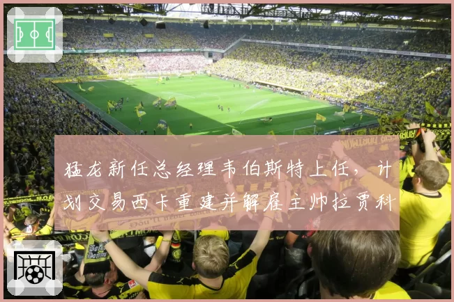 猛龙新任总经理韦伯斯特上任，计划交易西卡重建并解雇主帅拉贾科维奇